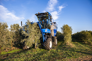 New Holland Launches New Braud 11.90X Multi Harvester for North America